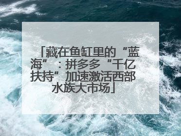 藏在鱼缸里的“蓝海”：拼多多“千亿扶持”加速激活西部水族大市场