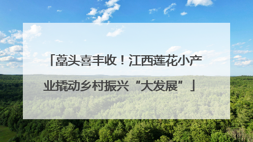藠头喜丰收！江西莲花小产业撬动乡村振兴“大发展”