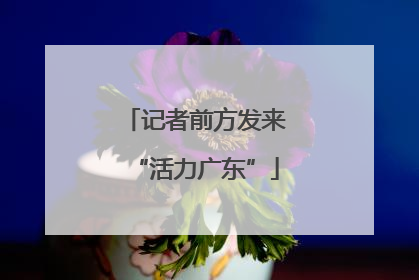 记者前方发来“活力广东”