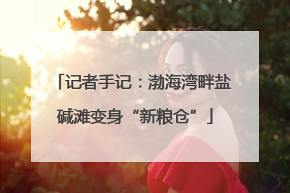 记者手记：渤海湾畔盐碱滩变身“新粮仓”