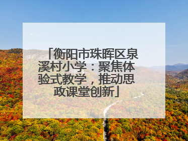 衡阳市珠晖区泉溪村小学：聚焦体验式教学，推动思政课堂创新