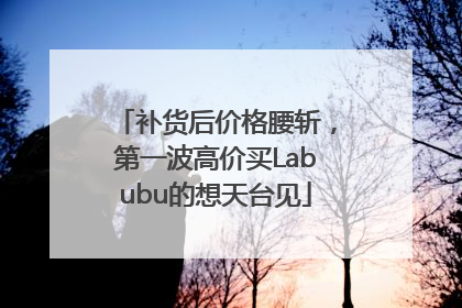 补货后价格腰斩，第一波高价买Labubu的想天台见