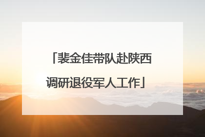 裴金佳带队赴陕西调研退役军人工作