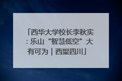 西华大学校长李秋实：乐山“智慧低空”大有可为｜西望四川