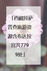 西藏拉萨普查旅游资源含布达拉宫共7799处