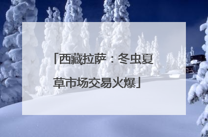 西藏拉萨：冬虫夏草市场交易火爆