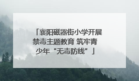 襄阳磁器街小学开展禁毒主题教育 筑牢青少年“无毒防线”