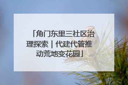 角门东里三社区治理探索｜代建代管推动荒地变花园