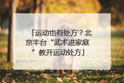 运动也有处方？北京丰台“武术进家庭”教开运动处方