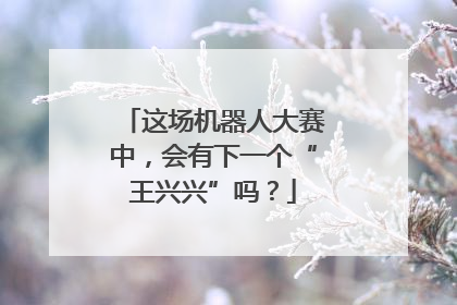 这场机器人大赛中，会有下一个“王兴兴”吗？