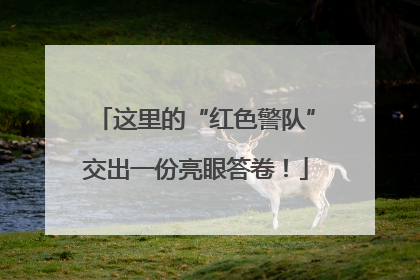这里的“红色警队”交出一份亮眼答卷！
