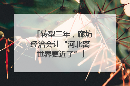 转型三年，廊坊经洽会让“河北离世界更近了”