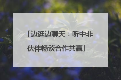 边逛边聊天：听中非伙伴畅谈合作共赢