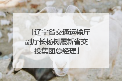 辽宁省交通运输厅副厅长杨树履新省交投集团总经理