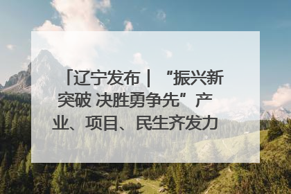 辽宁发布｜“振兴新突破 决胜勇争先”产业、项目、民生齐发力 葫芦岛按下决胜之年“加速键”