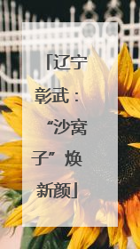 辽宁彰武：“沙窝子”焕新颜