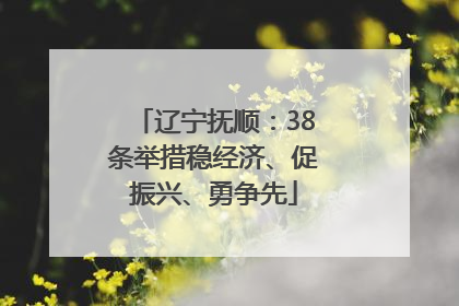 辽宁抚顺：38条举措稳经济、促振兴、勇争先