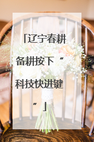 辽宁春耕备耕按下“科技快进键”