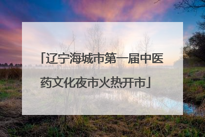 辽宁海城市第一届中医药文化夜市火热开市