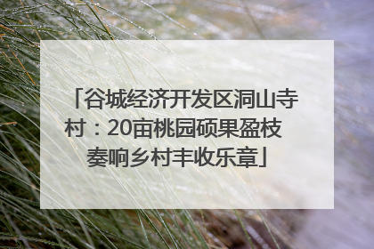 谷城经济开发区洞山寺村：20亩桃园硕果盈枝 奏响乡村丰收乐章