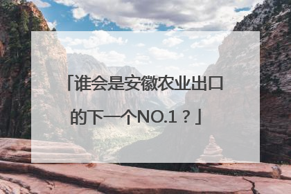 谁会是安徽农业出口的下一个NO.1？