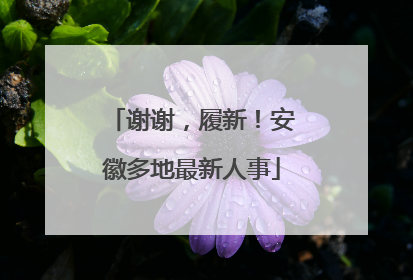 谢谢，履新！安徽多地最新人事