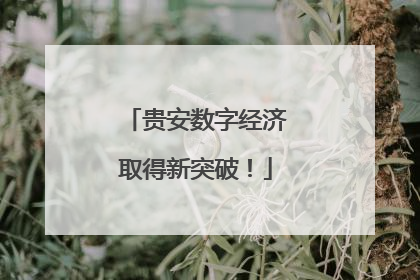 贵安数字经济取得新突破！