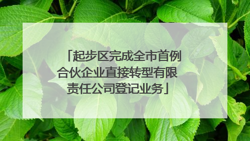 起步区完成全市首例合伙企业直接转型有限责任公司登记业务