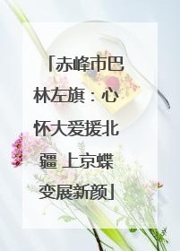 赤峰市巴林左旗：心怀大爱援北疆 上京蝶变展新颜