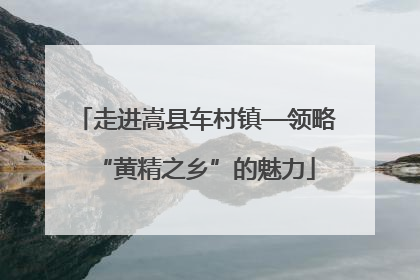走进嵩县车村镇—领略“黄精之乡”的魅力