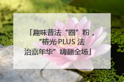 趣味普法“圈”粉，“椿光·PLUS 法治嘉年华”嗨翻全场