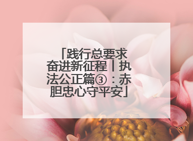 践行总要求 奋进新征程丨执法公正篇③：赤胆忠心守平安