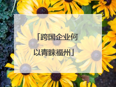 跨国企业何以青睐福州