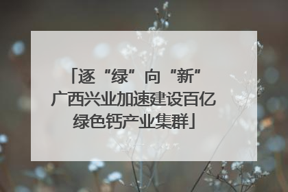 逐“绿”向“新” 广西兴业加速建设百亿绿色钙产业集群
