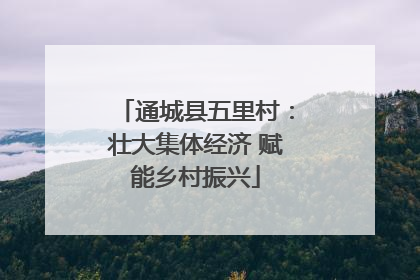 通城县五里村：壮大集体经济 赋能乡村振兴