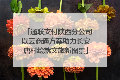通联支付陕西分公司以云商通方案助力长安唐村绘就文旅新图景