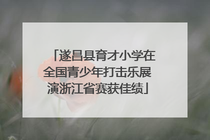 遂昌县育才小学在全国青少年打击乐展演浙江省赛获佳绩