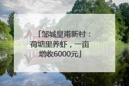 邹城皇甫新村：荷塘里养虾，一亩增收6000元