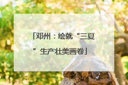 邓州：绘就“三夏”生产壮美画卷