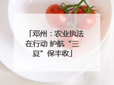 邓州：农业执法在行动 护航“三夏”保丰收