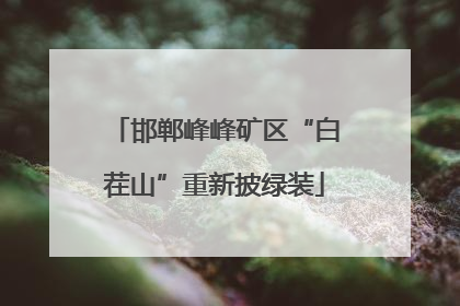 邯郸峰峰矿区“白茬山”重新披绿装