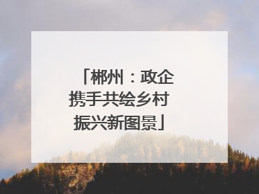 郴州：政企携手共绘乡村振兴新图景