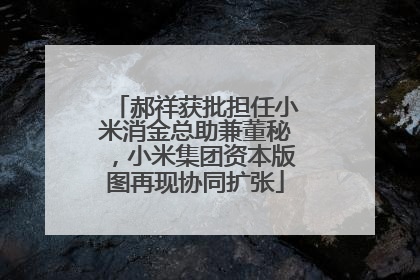 郝祥获批担任小米消金总助兼董秘，小米集团资本版图再现协同扩张