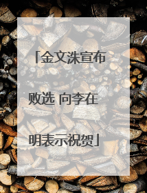 金文洙宣布败选 向李在明表示祝贺