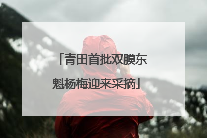 青田首批双膜东魁杨梅迎来采摘