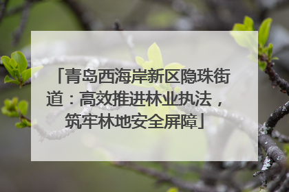 青岛西海岸新区隐珠街道：高效推进林业执法，筑牢林地安全屏障