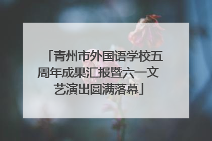 青州市外国语学校五周年成果汇报暨六一文艺演出圆满落幕