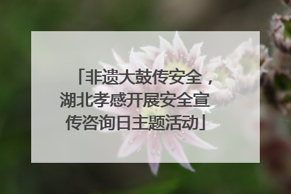 非遗大鼓传安全，湖北孝感开展安全宣传咨询日主题活动
