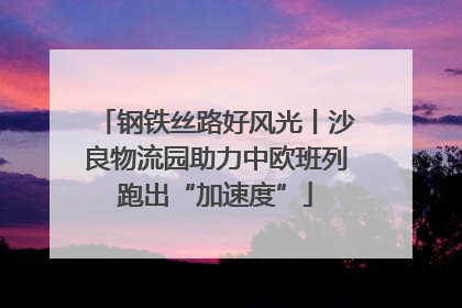 钢铁丝路好风光丨沙良物流园助力中欧班列跑出“加速度”