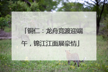 铜仁：龙舟竞渡迎端午，锦江江面展豪情